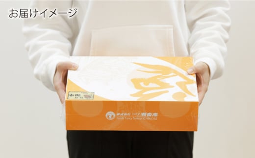【12回定期便】 佐賀和牛 肩ロース 焼肉 350g 【一ノ瀬畜産】 [NAC115] 牛肉 佐賀県産 黒毛和牛 焼肉 BBQ バーベキュー 定期便
