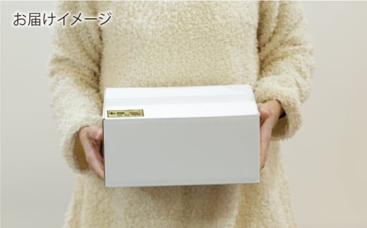 【3回定期便】 佐賀和牛 ロース 厚切り 切落し 600g (300g×2P) 【一ノ瀬畜産】 [NAC125] 牛肉 佐賀県産 黒毛和牛 焼肉 BBQ バーベキュー 定期便