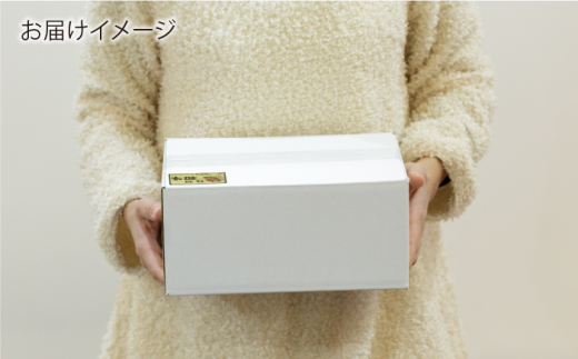 【6回定期便】 佐賀和牛 ロース 厚切り 切落し 600g (300g×2P) 【一ノ瀬畜産】 [NAC126] 牛肉 佐賀県産 黒毛和牛 焼肉 BBQ バーベキュー 定期便