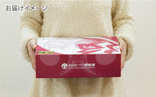 【6回定期便】 佐賀和牛 ロース ブロック 1kg 【一ノ瀬畜産】 [NAC132] 牛肉 佐賀県産 黒毛和牛 ブロック肉 ステーキ 焼肉 BBQ バーベキュー 定期便