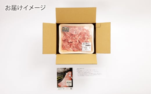 【6回定期便】 佐賀牛 切り落とし (小間切) 900g (300g×3P) 【一ノ瀬畜産】 [NAC138] 牛肉 佐賀県産 黒毛和牛 きりおとし 定期便