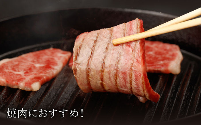 【6回定期便】佐賀牛 肩ロース 焼肉用 計500g（250g×2p）【一ノ瀬畜産】 [NAC153]  牛肉 佐賀県産 黒毛和牛 焼肉 BBQ バーベキュー 定期便