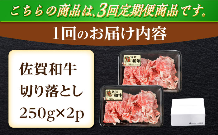 【3回定期便】佐賀和牛 切り落とし 計500g(250g×2p)【一ノ瀬畜産】 [NAC162] 佐賀県産 黒毛和牛 牛肉 きりおとし 定期便
