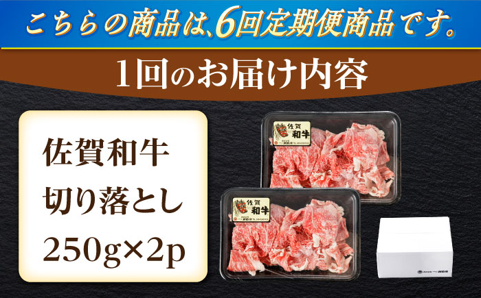 【6回定期便】佐賀和牛 切り落とし 計500g(250g×2p)【一ノ瀬畜産】 [NAC163] 佐賀県産 黒毛和牛 牛肉 きりおとし 定期便