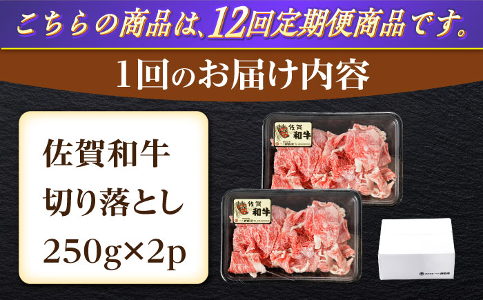 【12回定期便】佐賀和牛 切り落とし 計500g(250g×2p)【一ノ瀬畜産】 [NAC164] 佐賀県産 黒毛和牛 牛肉 きりおとし 定期便