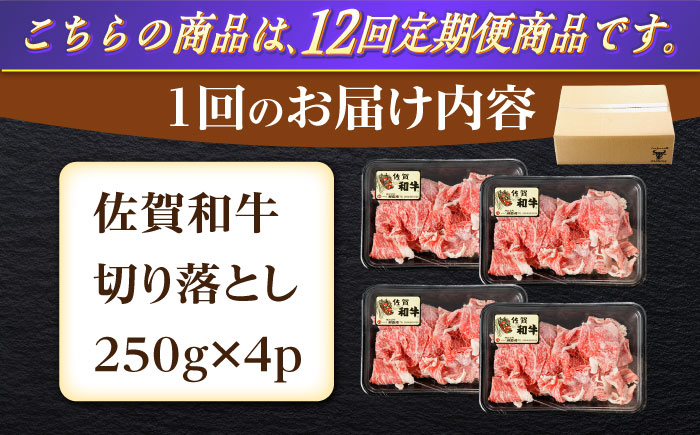 【12回定期便】佐賀和牛 切り落とし 計1kg(250g×4p)【一ノ瀬畜産】 [NAC167] 佐賀県産 黒毛和牛 牛肉 きりおとし 定期便