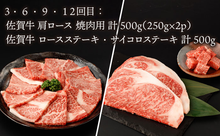 【ANA限定】【12回定期便】佐賀牛・佐賀和牛 食べつくし定期便 プレミアムコース【一ノ瀬畜産】 [NAC207] 牛肉 佐賀県産 黒毛和牛 食べくらべ たべくらべ ステーキ 焼肉 焼き肉 BBQ バーベキュー すき焼き すきやき しゃぶしゃぶ 鍋 定期便