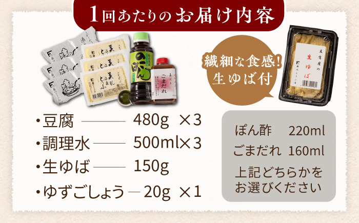 【12回定期便】嬉野温泉湯どうふ3丁＋生ゆばセット【藤川とうふ店】 [NBT112]