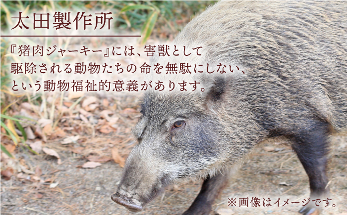 イノチップス 3袋セット【太田製作所】 [NCF002]