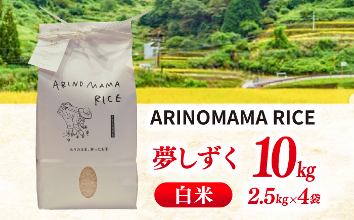 ARINOMAMA RICE 佐賀県嬉野市産 夢しずく 10kg(2.5kg×4)【ありのまま春日】 [NCK004]