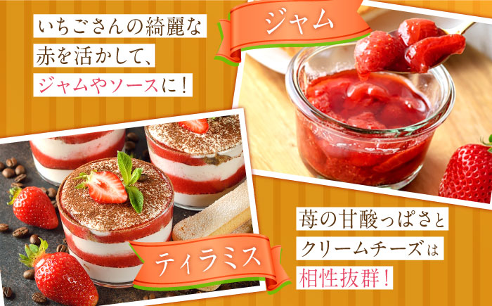 【先行予約】いちごさん　約240ｇ×4パック【JAさが】 [NCR001] いちご イチゴ 苺 ブランド苺