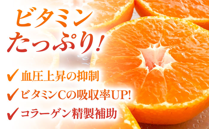 【先行予約】佐賀みかん「さが美人」 5㎏ 【JAさが】 [NCR002] みかん ミカン 蜜柑 温州みかん