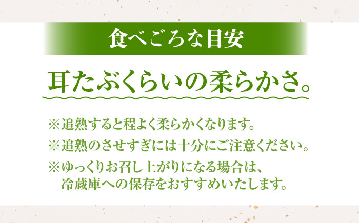 【先行予約】佐賀県産キウイフルーツ 「ヘイワード」　3.6㎏ 【JAさが】 [NCR003] キウイ キウイフルーツ