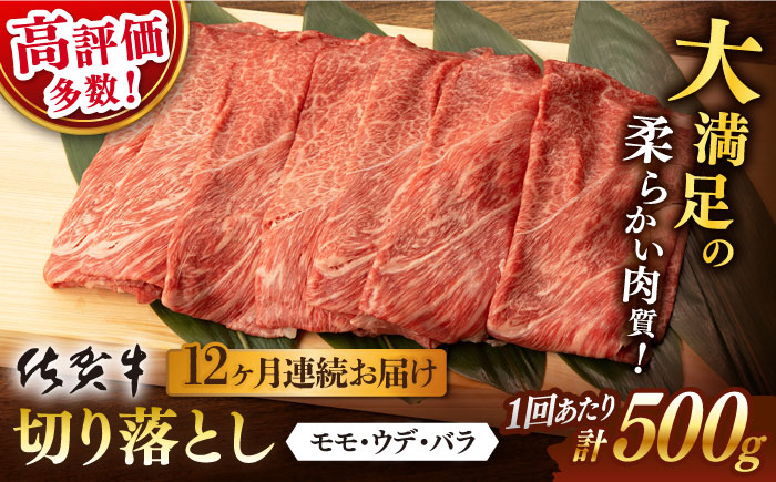 【12回定期便】【先行予約】 佐賀牛 切り落とし 500g (総計 6.0kg)【桑原畜産】 [NAB034] 牛肉 佐賀県産 黒毛和牛 切落し きりおとし