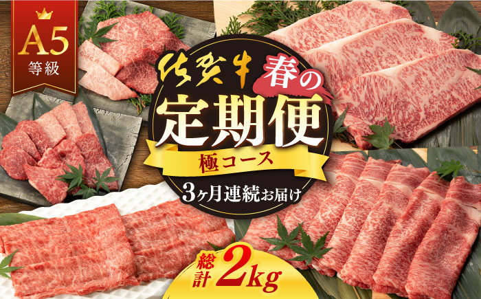 【3回定期便】【先行予約】佐賀牛 春の定期便 極コース 【桑原畜産】[NAB103]  牛肉 佐賀県産 黒毛和牛 定期便