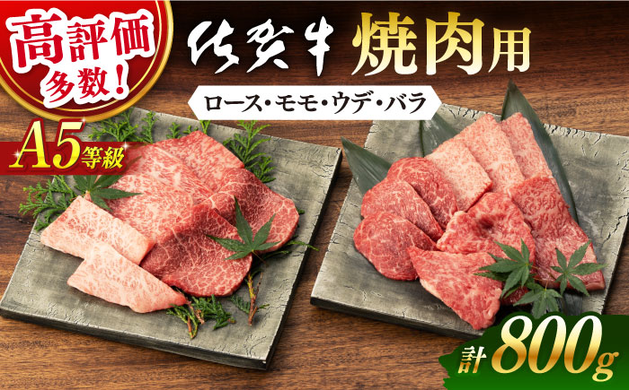 【2026年2月発送】佐賀牛 A5 厳選部位 焼肉用 800g （400g×2P）【桑原畜産】 [NAB225]  牛肉 佐賀県産 黒毛和牛 焼肉 BBQ バーベキュー