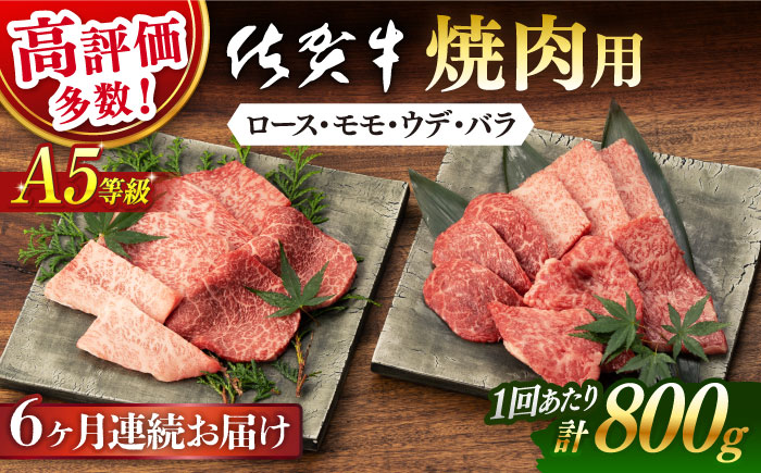 【6回定期便】【先行予約】佐賀牛 A5 厳選部位 焼肉用 800g （400g×2P）【桑原畜産】 [NAB230]  牛肉 佐賀県産 黒毛和牛 焼肉 BBQ バーベキュー