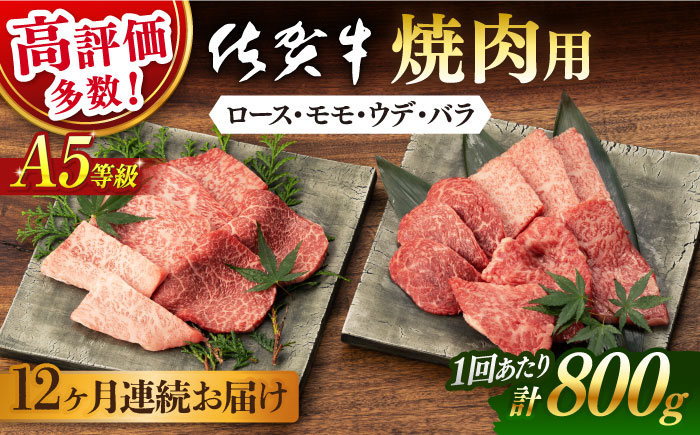 【12回定期便】【先行予約】佐賀牛 A5 厳選部位 焼肉用 800g （400g×2P）【桑原畜産】 [NAB231]  牛肉 佐賀県産 黒毛和牛 焼肉 BBQ バーベキュー