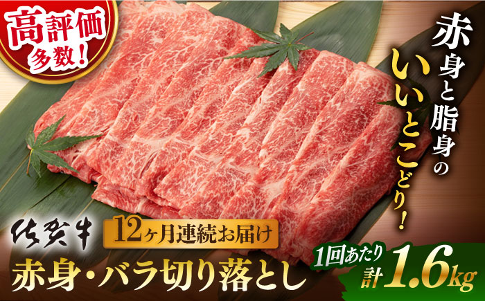 【12回定期便】【先行予約】 佐賀牛 赤身・バラ 切り落とし 1.6kg (400g ×4p 総計 19.2kg)【桑原畜産】 [NAB252] 牛肉 佐賀県産 黒毛和牛 切落し きりおとし