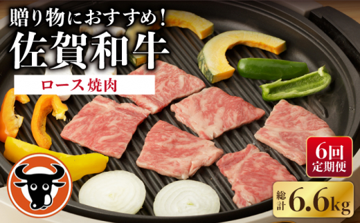【6回定期便】 佐賀和牛 ロース 焼肉 1.1kg 【一ノ瀬畜産】 [NAC135] 牛肉 佐賀県産 黒毛和牛 焼肉 BBQ バーベキュー 定期便