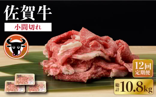 【12回定期便】 佐賀牛 切り落とし (小間切) 900g (300g×3P) 【一ノ瀬畜産】 [NAC139] 牛肉 佐賀県産 黒毛和牛 きりおとし 定期便