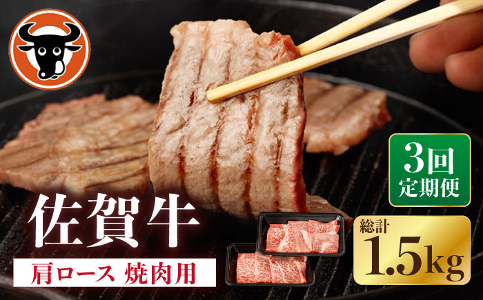 【3回定期便】佐賀牛 肩ロース 焼肉用 計500g（250g×2p）【一ノ瀬畜産】 [NAC152]  牛肉 佐賀県産 黒毛和牛 焼肉 BBQ バーベキュー 定期便
