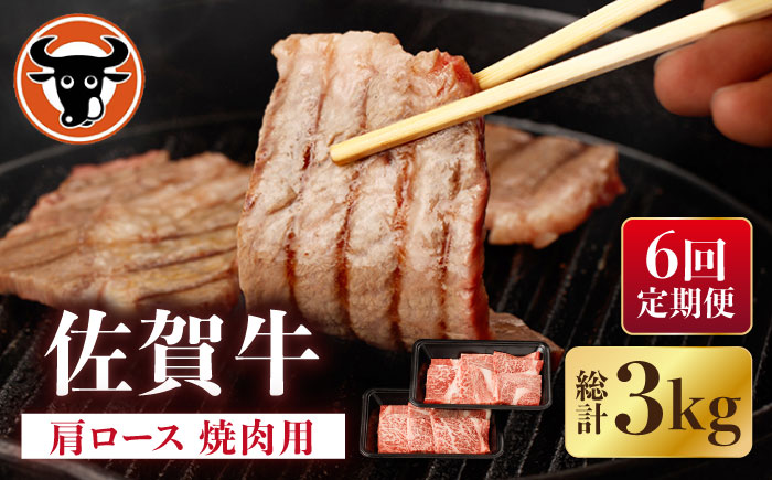 【6回定期便】佐賀牛 肩ロース 焼肉用 計500g（250g×2p）【一ノ瀬畜産】 [NAC153]  牛肉 佐賀県産 黒毛和牛 焼肉 BBQ バーベキュー 定期便