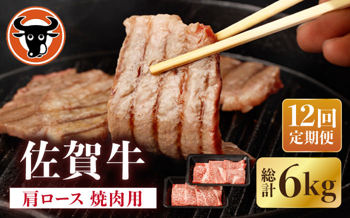 【12回定期便】佐賀牛 肩ロース 焼肉用 計500g（250g×2p）【一ノ瀬畜産】 [NAC154]  牛肉 佐賀県産 黒毛和牛 焼肉 BBQ バーベキュー 定期便