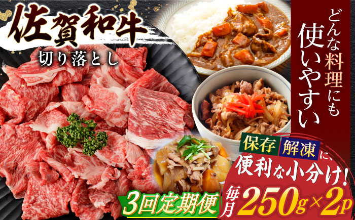 【3回定期便】佐賀和牛 切り落とし 計500g(250g×2p)【一ノ瀬畜産】 [NAC162] 佐賀県産 黒毛和牛 牛肉 きりおとし 定期便