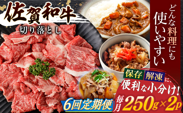 【6回定期便】佐賀和牛 切り落とし 計500g(250g×2p)【一ノ瀬畜産】 [NAC163] 佐賀県産 黒毛和牛 牛肉 きりおとし 定期便