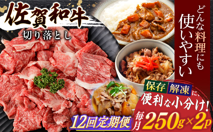 【12回定期便】佐賀和牛 切り落とし 計500g(250g×2p)【一ノ瀬畜産】 [NAC164] 佐賀県産 黒毛和牛 牛肉 きりおとし 定期便