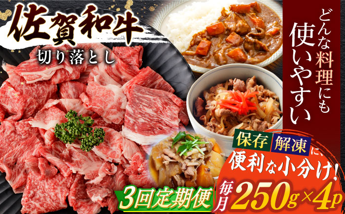 【3回定期便】佐賀和牛 切り落とし 計1kg(250g×4p)【一ノ瀬畜産】 [NAC165] 佐賀県産 黒毛和牛 牛肉 きりおとし 定期便