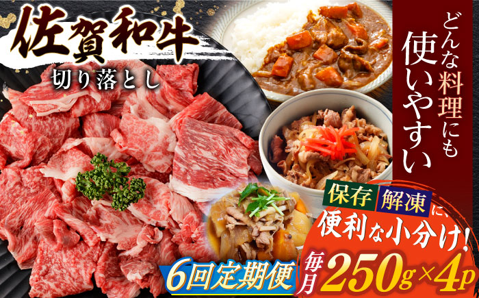 【6回定期便】佐賀和牛 切り落とし 計1kg(250g×4p)【一ノ瀬畜産】 [NAC166] 佐賀県産 黒毛和牛 牛肉 きりおとし 定期便