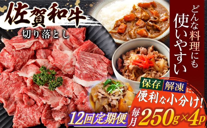 【12回定期便】佐賀和牛 切り落とし 計1kg(250g×4p)【一ノ瀬畜産】 [NAC167] 佐賀県産 黒毛和牛 牛肉 きりおとし 定期便