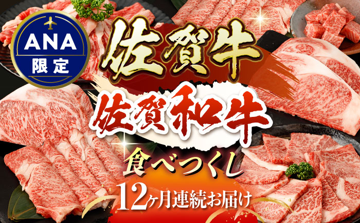 【ANA限定】【12回定期便】佐賀牛・佐賀和牛 食べつくし定期便 プレミアムコース【一ノ瀬畜産】 [NAC207] 牛肉 佐賀県産 黒毛和牛 食べくらべ たべくらべ ステーキ 焼肉 焼き肉 BBQ バーベキュー すき焼き すきやき しゃぶしゃぶ 鍋 定期便