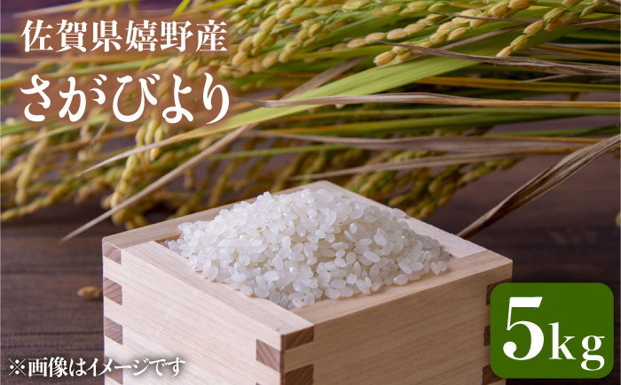 令和7年産 さがびより 5kg 【吉田まんぞく館】 [NAG005] 米 精米 白米 ブランド米 銘柄米 ごはん ご飯 おにぎり 佐賀県産