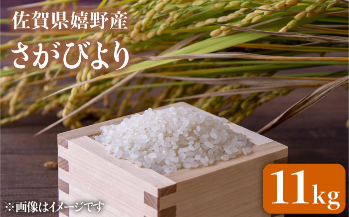 令和7年産 さがびより 11kg 【吉田まんぞく館】 [NAG006] 米 精米 白米 ブランド米 銘柄米 ごはん ご飯 おにぎり 佐賀県産