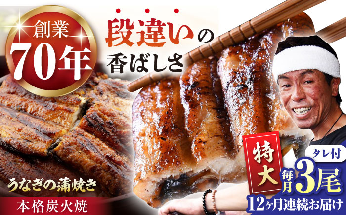 【12回定期便】 極上特大 うなぎ セット (3尾 タレ付き) 【森うなぎ屋】 [NAK018] ウナギ 鰻 国産 炭火焼 蒲焼 蒲焼き