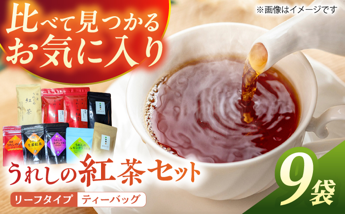 うれしの紅茶 生産者USセット【うれしの紅茶振興協議会】 [NAP007]