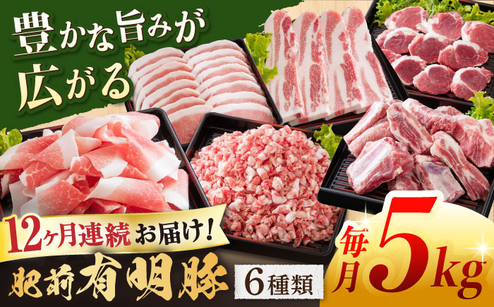 【12回定期便】肥前有明豚 6種 バラエティセット 総計60㎏【くすのきファーム】 [NAS106] 豚肉 切り落とし ミンチ 豚肉バラエティセット 豚肉 切り落とし ミンチ 豚肉バラエティセット
