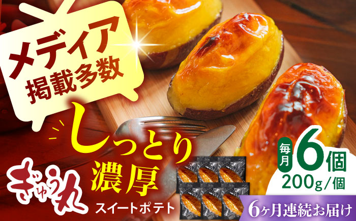 【6回定期便】スイートポテトセット【ぎゅう丸】 [NCQ123] デザート スイーツ スイートポテト