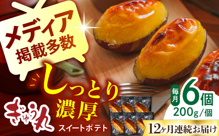 【12回定期便】スイートポテトセット【ぎゅう丸】 [NCQ124] デザート スイーツ スイートポテト