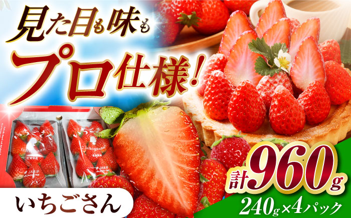 【先行予約】いちごさん　約240ｇ×4パック【JAさが】 [NCR001] いちご イチゴ 苺 ブランド苺