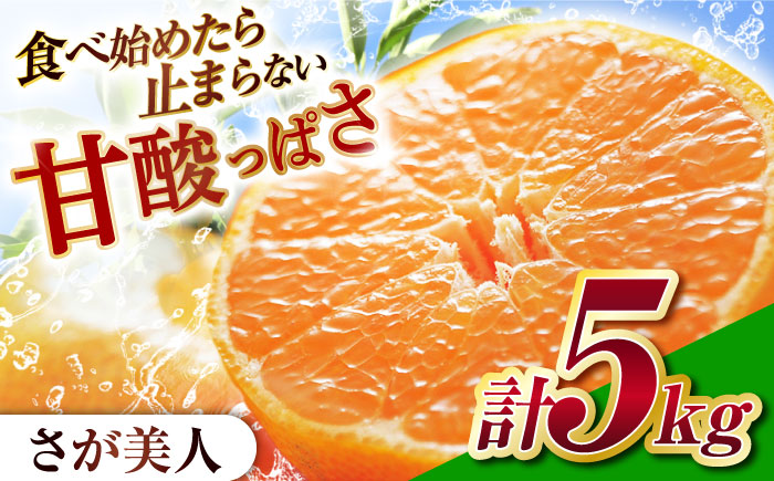 【先行予約】佐賀みかん「さが美人」 5㎏ 【JAさが】 [NCR002] みかん ミカン 蜜柑 温州みかん