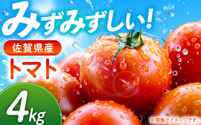佐賀県産 トマト 4kg 【JAさが】 [NCR004]