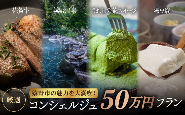 コンシェルジュ50万円プランNZY001