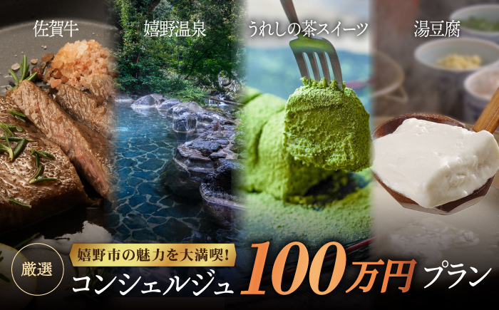 コンシェルジュ100万円プランNZY002