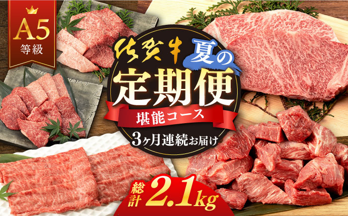 [3回定期便]佐賀牛 夏の定期便 堪能コース [桑原畜産][NAB104] 肉 精肉 牛肉 佐賀牛 佐賀県産 黒毛和牛