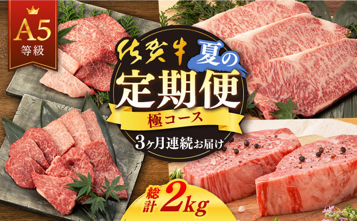 [3回定期便]佐賀牛 夏の定期便 極コース [桑原畜産][NAB105] 佐賀牛 牛肉 定期便 佐賀牛 牛肉 定期便