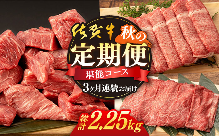 [3回定期便]佐賀牛 秋の定期便 堪能コース [桑原畜産][NAB106] 牛肉 佐賀県産 黒毛和牛 定期便